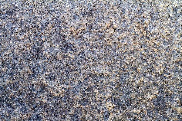 Texture : 2012-02-18 / Frost on the Kitchen Window [3 of 6]