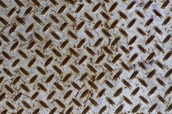 Texture : Are you cross with me? [2 of 2]