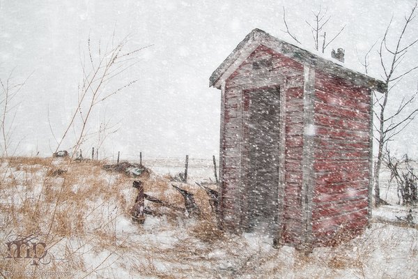 Snowstorm, Feb 25, 2012: Kent's Reading Room / Closed for the Season