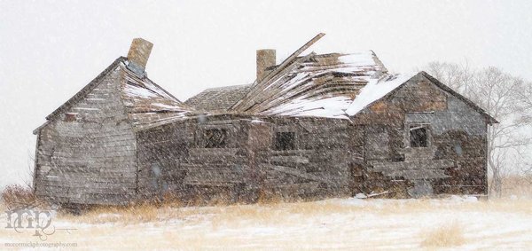 Snowstorm, Feb 25, 2012: Anderson Place