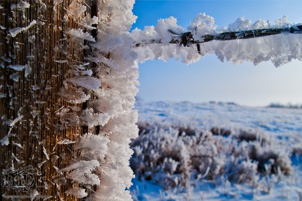 Also known as a "frost past the post electoral system"