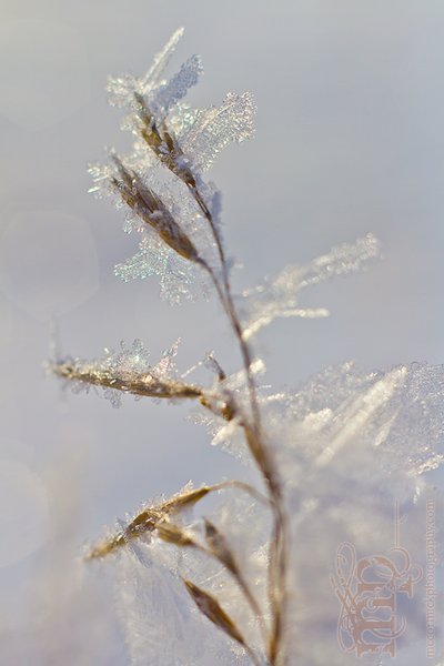 Mar 7, 2012: It sparkles