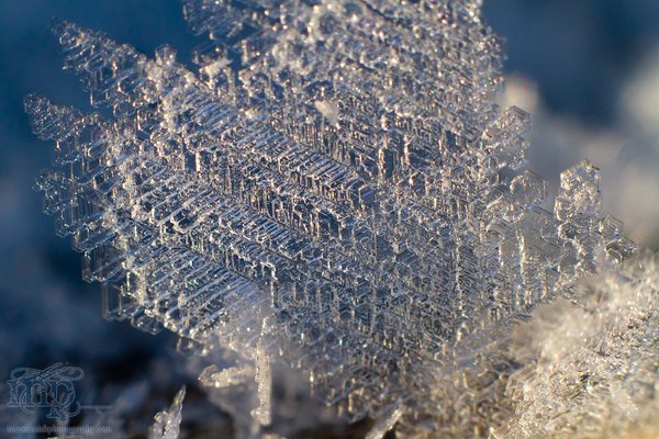 Mar 7, 2012: Frost on the railing [7 of 7]