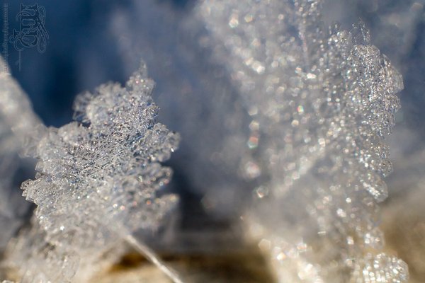 Mar 7, 2012: Frost on the railing [4 of 7]