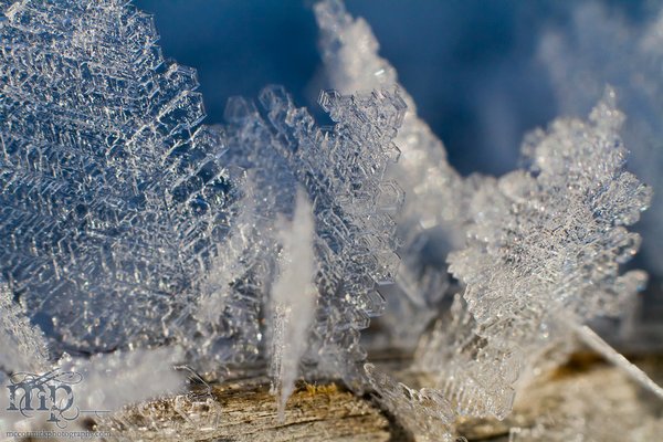 Mar 7, 2012: Frost on the railing [3 of 7]