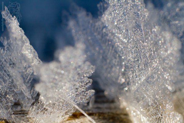 Mar 7, 2012: Frost on the railing [2 of 7]