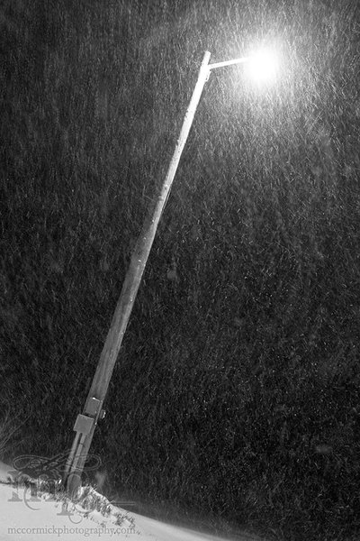 Paradice by the farm yard light