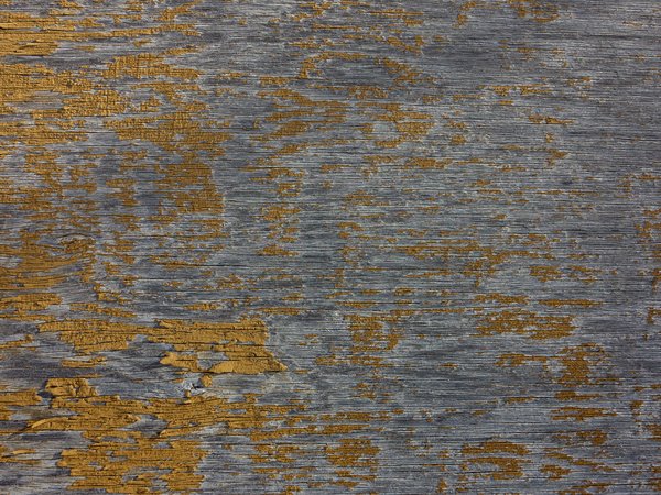 Texture : Peeling yellow paint on plywood [4 of 4]