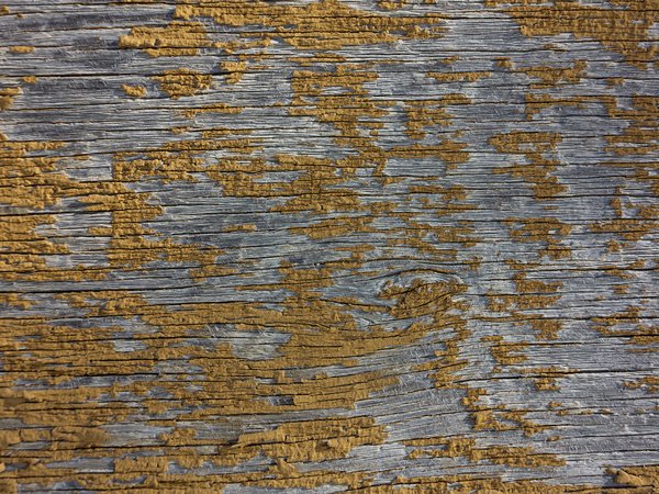 Texture : Peeling yellow paint on plywood [3 of 4]