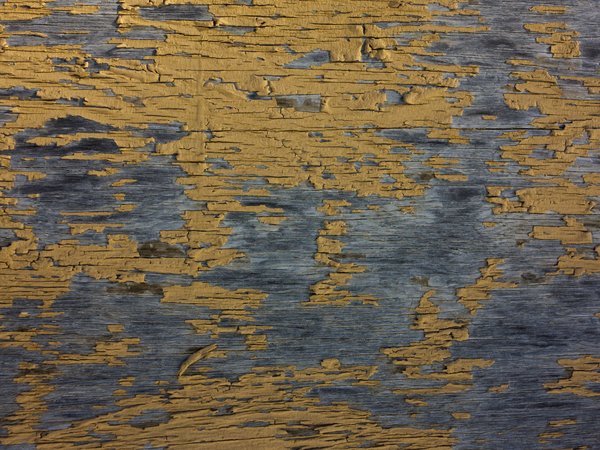 Texture : Peeling yellow paint on plywood [1 of 4]