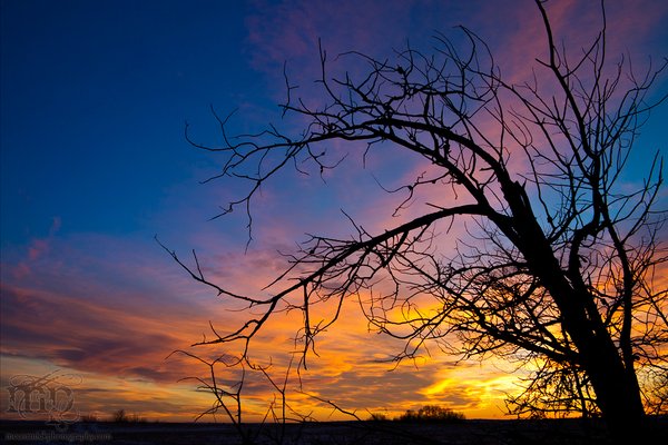 Sunset: Mar 09, 2012 [2 of 2]