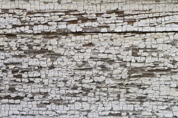 Texture : Peeling paint on old homestead [2 of 5]