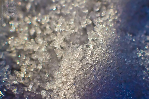 A macro of the snow on my Grand-Am's rear spoiler