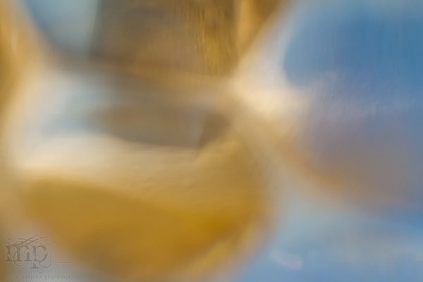Moonbeams [1 of 2]
