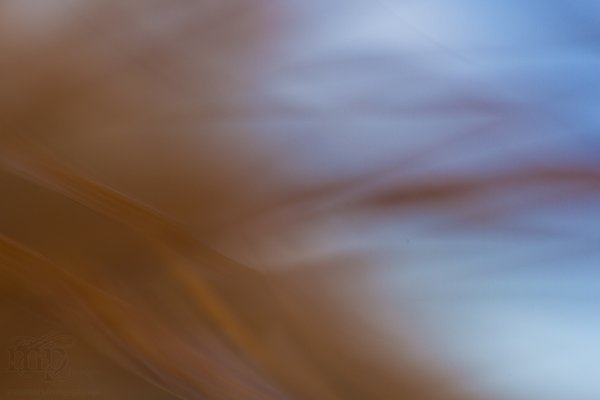 Pain in the grass [8 of 8]