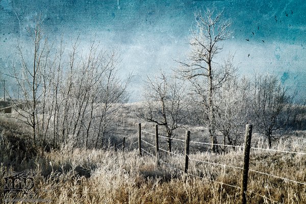 You can usually find me sitting on the fence [Reloaded]
