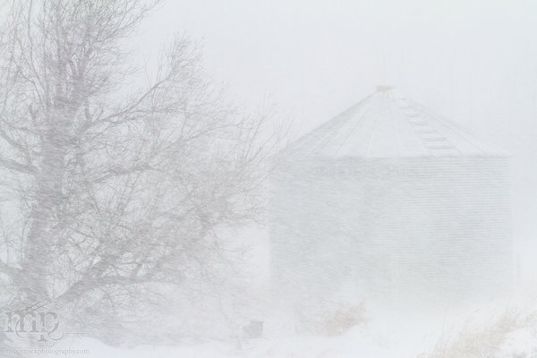 Mar 19, 2012 Blizzard: Bin there, drifted that