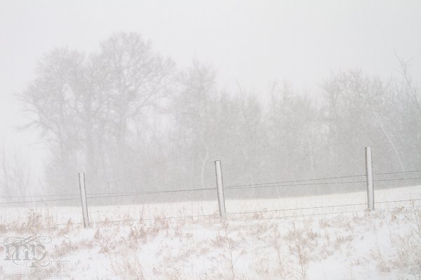 Mar 19, 2012 Blizzard: Frozen fence.