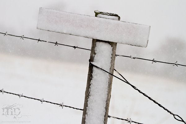 Mar 19, 2012 Blizzard: Organic Bland