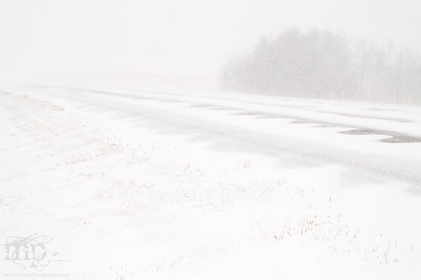 Mar 19, 2012 Blizzard: Hwy 12 # 3PM