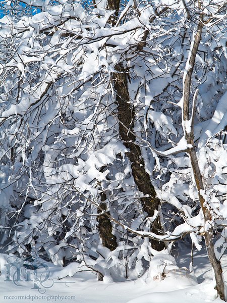 Mar 19 2012 Blizzard Aftermath [3 of 6]