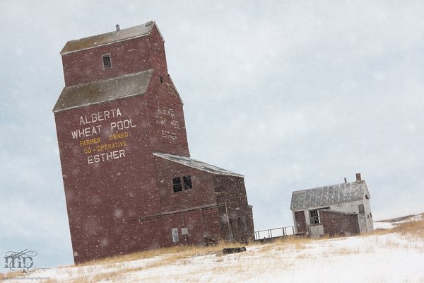 Esther Elevator in Snow Squall, Mar 23, 2012 [2 of 2]