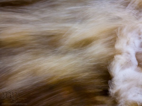 Sounding Creek & Old Hwy 12: Motion Abstract [2 of 2]