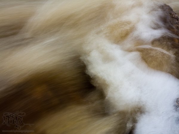 Sounding Creek & Old Hwy 12: Motion Abstract [1 of 2]