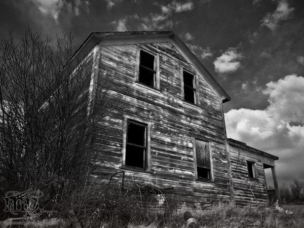 The Hidden Homestead