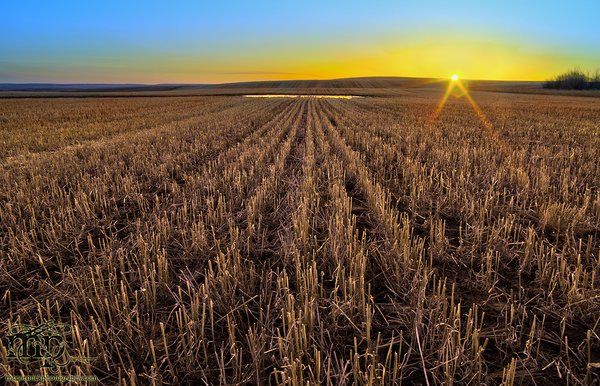 Sunset, Apr 09, 2012: Looking west toward the Oxamitny's