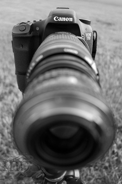 Canon EOS 7D w/reversed lens [2 of 2]