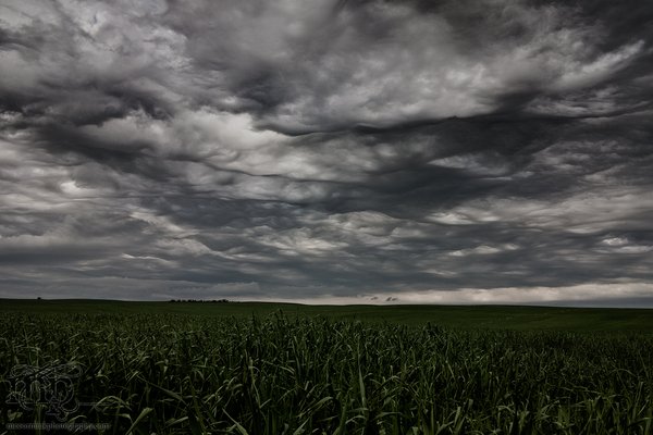 June 25, 2012 - Unsettled Skies [1 of 3]
