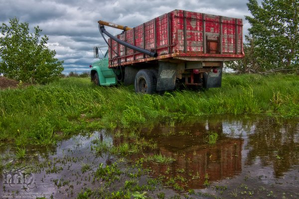 Grain Truck Reflected