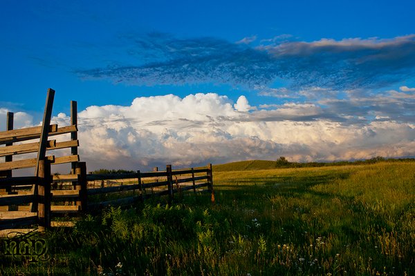 Jul 23, 2012 - Corrals at Dusk
