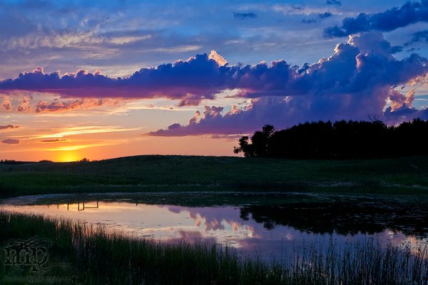 2012-07-27: Last rays of the day