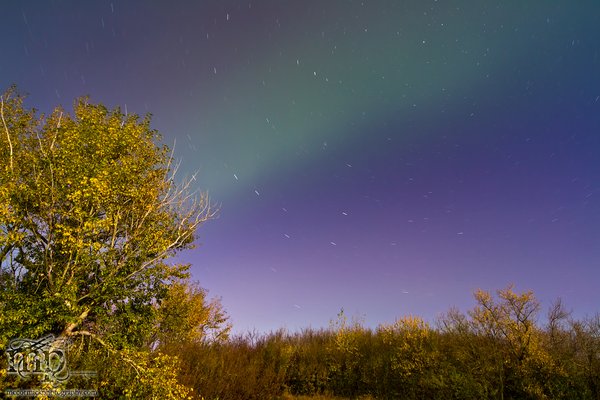 2012-09-30: Aurora Over Fall Foliage