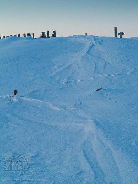 Snow Fence x2