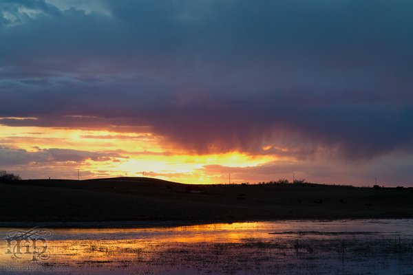 Lake Carpentier at Sunset [2 of 2]