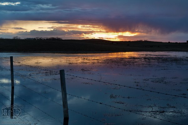 Lake Carpentier at Sunset [1 of 2]