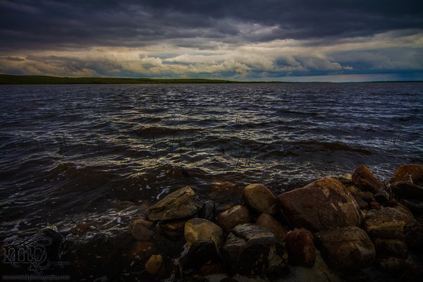 On the shore of the Dry Lakes [1 of 2] - June 2013