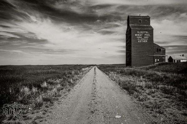 Esther Elevator : 2013 Revisit : The Back Way