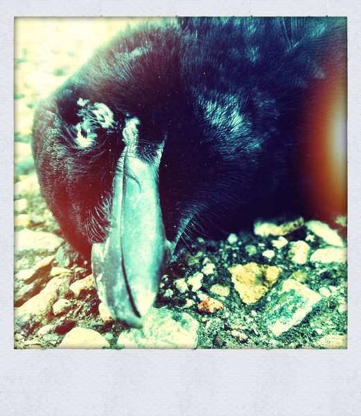 Paging Brandon Lee [2 of 2]