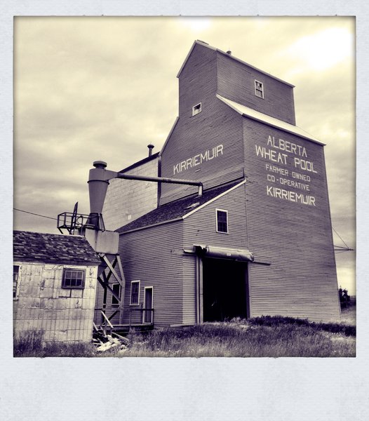 Kirriemuir Elevator, July 2013 [2 of 7]