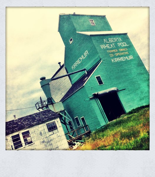 Kirriemuir Elevator, July 2013 [3 of 7]