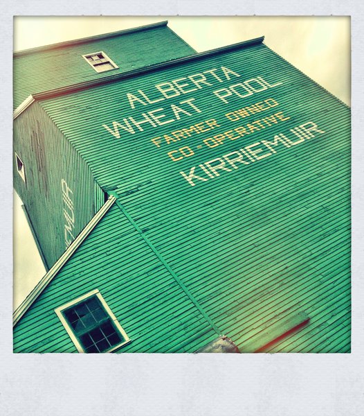 Kirriemuir Elevator, July 2013 [4 of 7]
