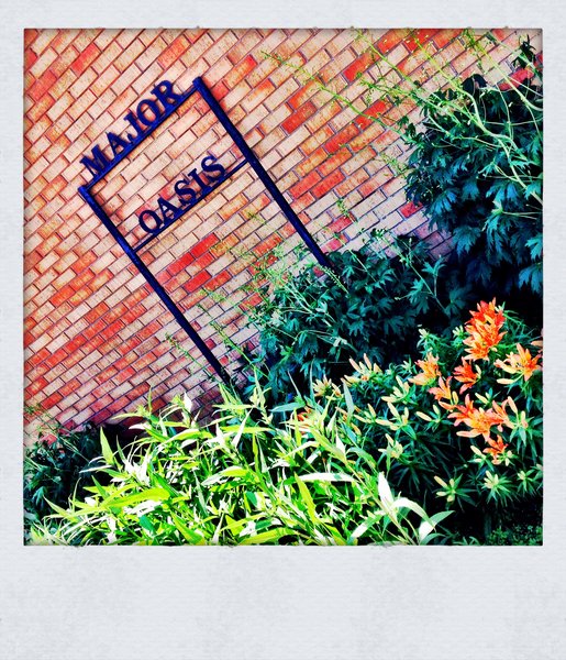 Major School : False Advertising?