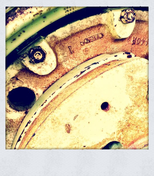 Bodo AB : Deere in the Field [3 of 3]
