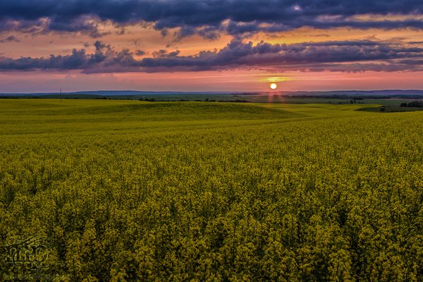 Sunset, Jul 08, 2013 [1 of 2]