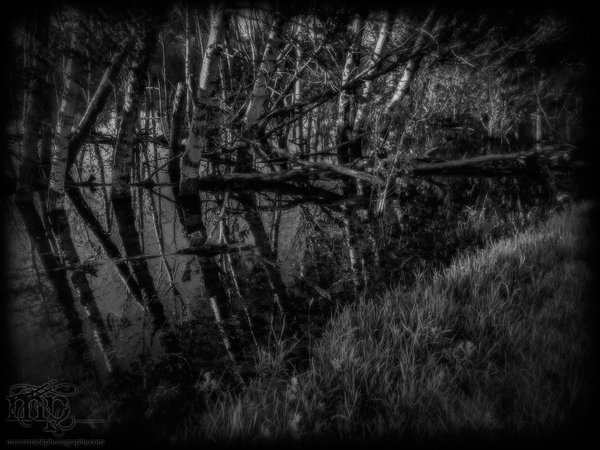 Darkly Dreaming Dexter
