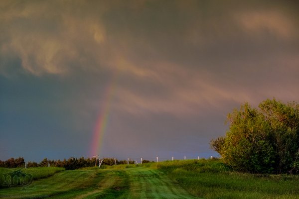 Storm Warning : 2013-07-11 : Rainbow at End of Driveway